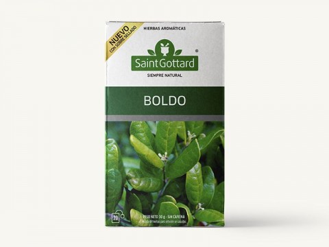 Saint Gottard boldo