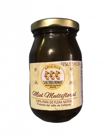 Miel Las Tres Reinas 500 grs